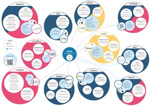 2025-02-017 DKZs Organigramm.jpg